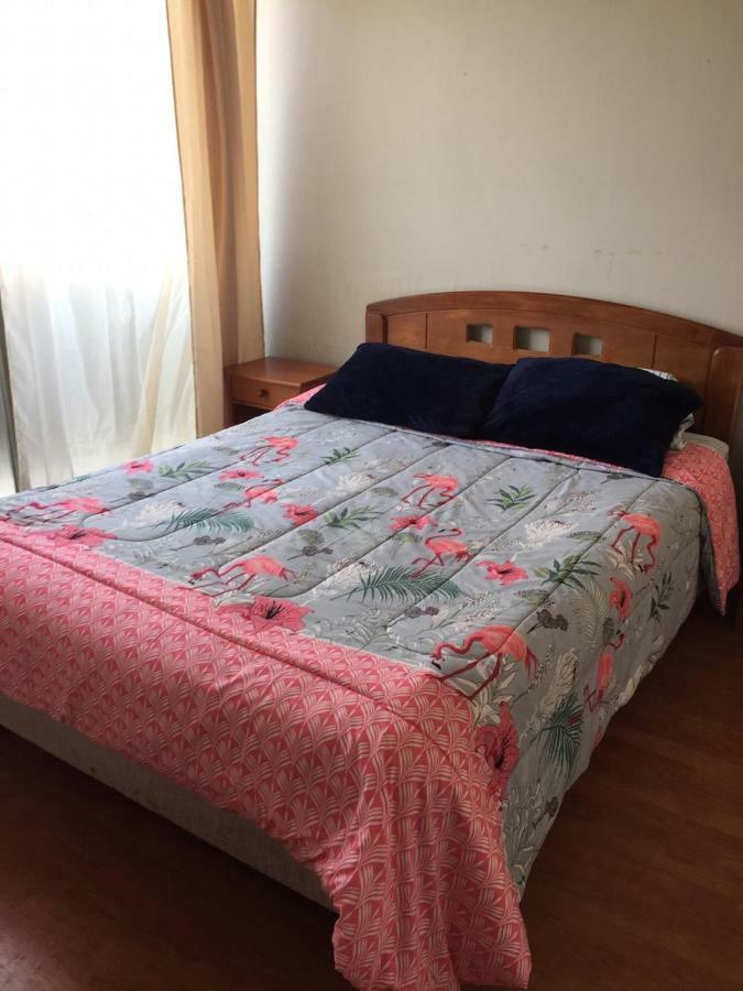 Departamento Diagonal Paraguay Apartamento Santiago